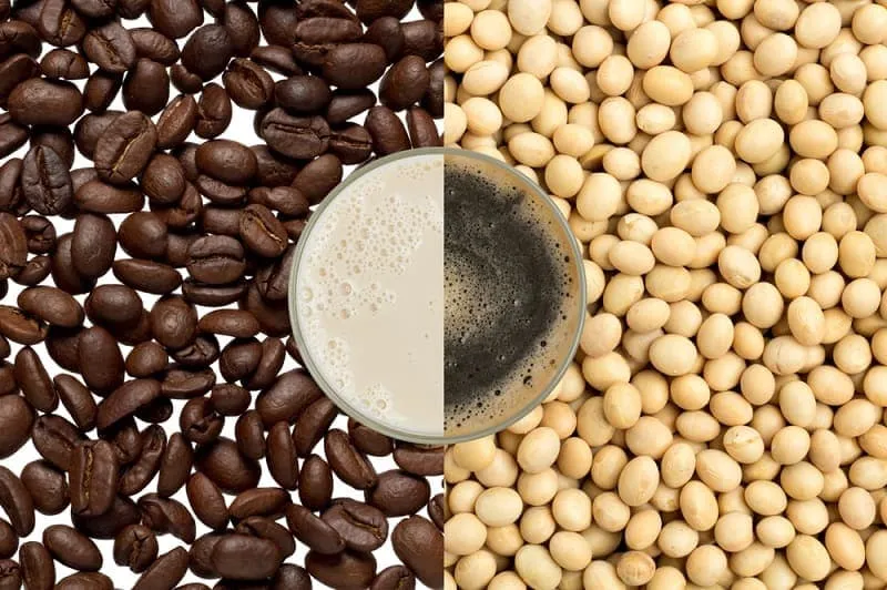 6 Soybean Coffee Health Benefits: Based on Science