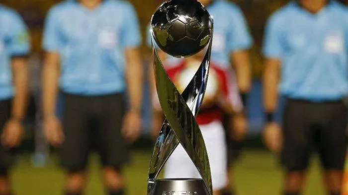 Daftar Negara Peserta Piala Dunia U-17 2023, Indonesia Gantikan Peru jadi Tuan Rumah – Halaman all